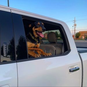 Meet your Posher, Shane